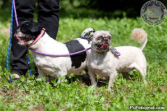 phoca_thumb_l_IMG_5607_resize