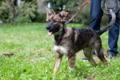phoca_thumb_l_IMG_5619_resize