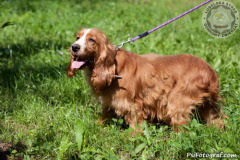 phoca_thumb_l_IMG_5654_resize