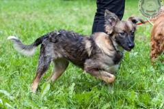 phoca_thumb_l_IMG_5656_resize