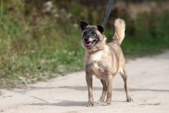 phoca_thumb_l_IMG_6271_resize