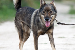 phoca_thumb_l_IMG_6293_resize