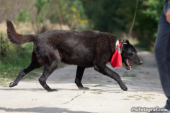 phoca_thumb_l_IMG_6302_resize