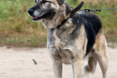 phoca_thumb_l_IMG_6362_resize