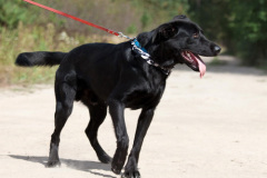 phoca_thumb_l_IMG_6407_resize
