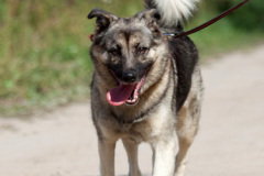 phoca_thumb_l_IMG_6435_resize
