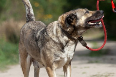 phoca_thumb_l_IMG_6525_resize