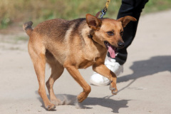 phoca_thumb_l_IMG_6556_resize
