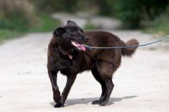 phoca_thumb_l_IMG_6634_resize