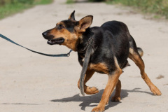 phoca_thumb_l_IMG_6655_resize