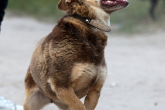 phoca_thumb_l_IMG_6724_resize