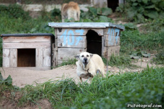 phoca_thumb_l_IMG_6748_resize