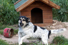 phoca_thumb_l_IMG_6755_resize
