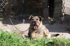 phoca_thumb_l_IMG_6783_resize