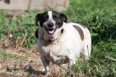 phoca_thumb_l_IMG_6788_resize
