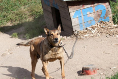 phoca_thumb_l_IMG_6795_resize