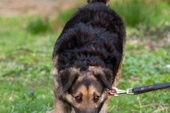 phoca_thumb_l_IMG_2974_resize