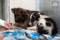 phoca_thumb_l_IMG_4716_resize