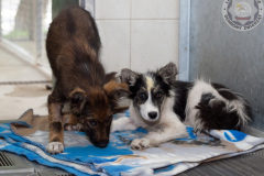 phoca_thumb_l_IMG_4724_resize