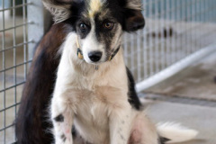 phoca_thumb_l_IMG_4745_resize