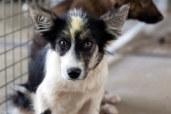 phoca_thumb_l_IMG_4753_resize