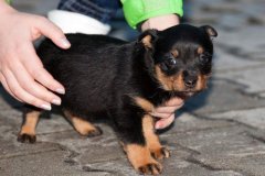 phoca_thumb_l_IMG_0819_resize