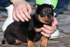 phoca_thumb_l_IMG_0820_resize
