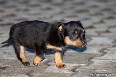 phoca_thumb_l_IMG_0824_resize