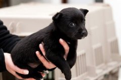 phoca_thumb_l_IMG_0843_resize