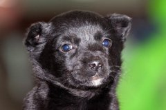 phoca_thumb_l_IMG_0847_resize