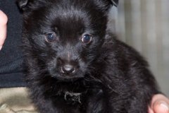 phoca_thumb_l_IMG_0858_resize