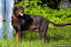phoca_thumb_l_IMG_5369_resize