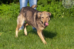 phoca_thumb_l_IMG_5388_resize
