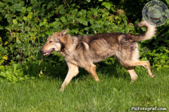 phoca_thumb_l_IMG_5393_resize