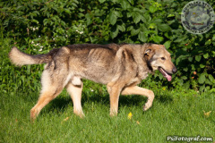 phoca_thumb_l_IMG_5397_resize