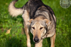 phoca_thumb_l_IMG_5403_resize