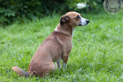 phoca_thumb_l_IMG_5410_resize