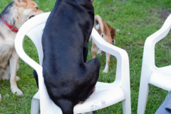phoca_thumb_l_IMG_5442_resize