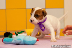 phoca_thumb_l_088IMG_0007_resize