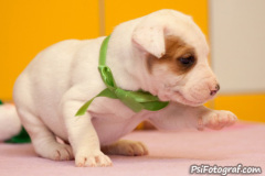 phoca_thumb_l_102IMG_0021_resize