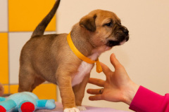 phoca_thumb_l_123IMG_0042_resize