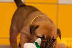 phoca_thumb_l_127IMG_0046_resize