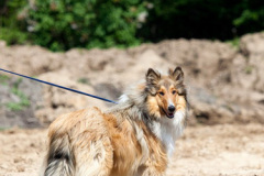 phoca_thumb_l_IMG_3742_resize