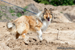 phoca_thumb_l_IMG_3744_resize
