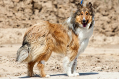 phoca_thumb_l_IMG_3751_resize