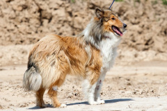 phoca_thumb_l_IMG_3752_resize