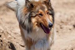 phoca_thumb_l_IMG_3758_resize