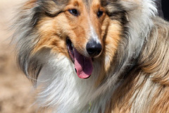 phoca_thumb_l_IMG_3768_resize