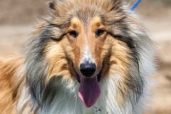 phoca_thumb_l_IMG_3773_resize