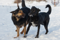 phoca_thumb_l_IMG_9282_resize